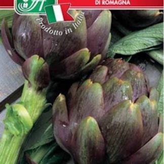 Carciofo violetto di Romagna
