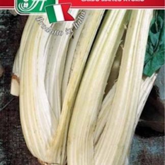 Cardo bianco avorio