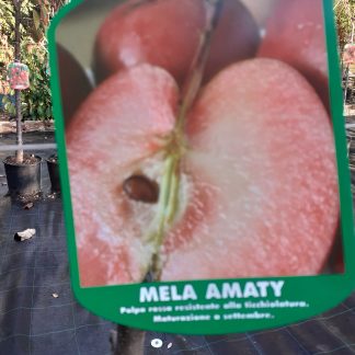 Mela Amaty