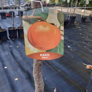 Kako mela
