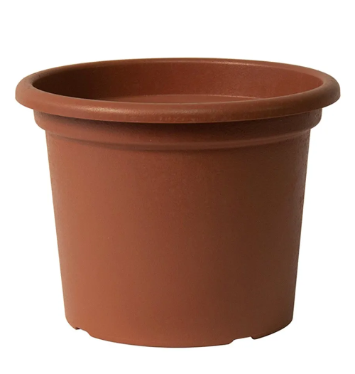 Guya vaso Greener con fori - immagine 4